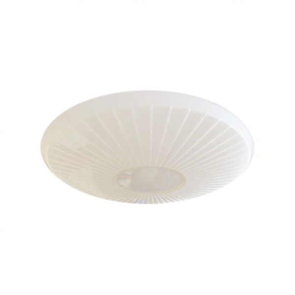 Polycarbonate & Acrylic Flush Mount Ceiling Light